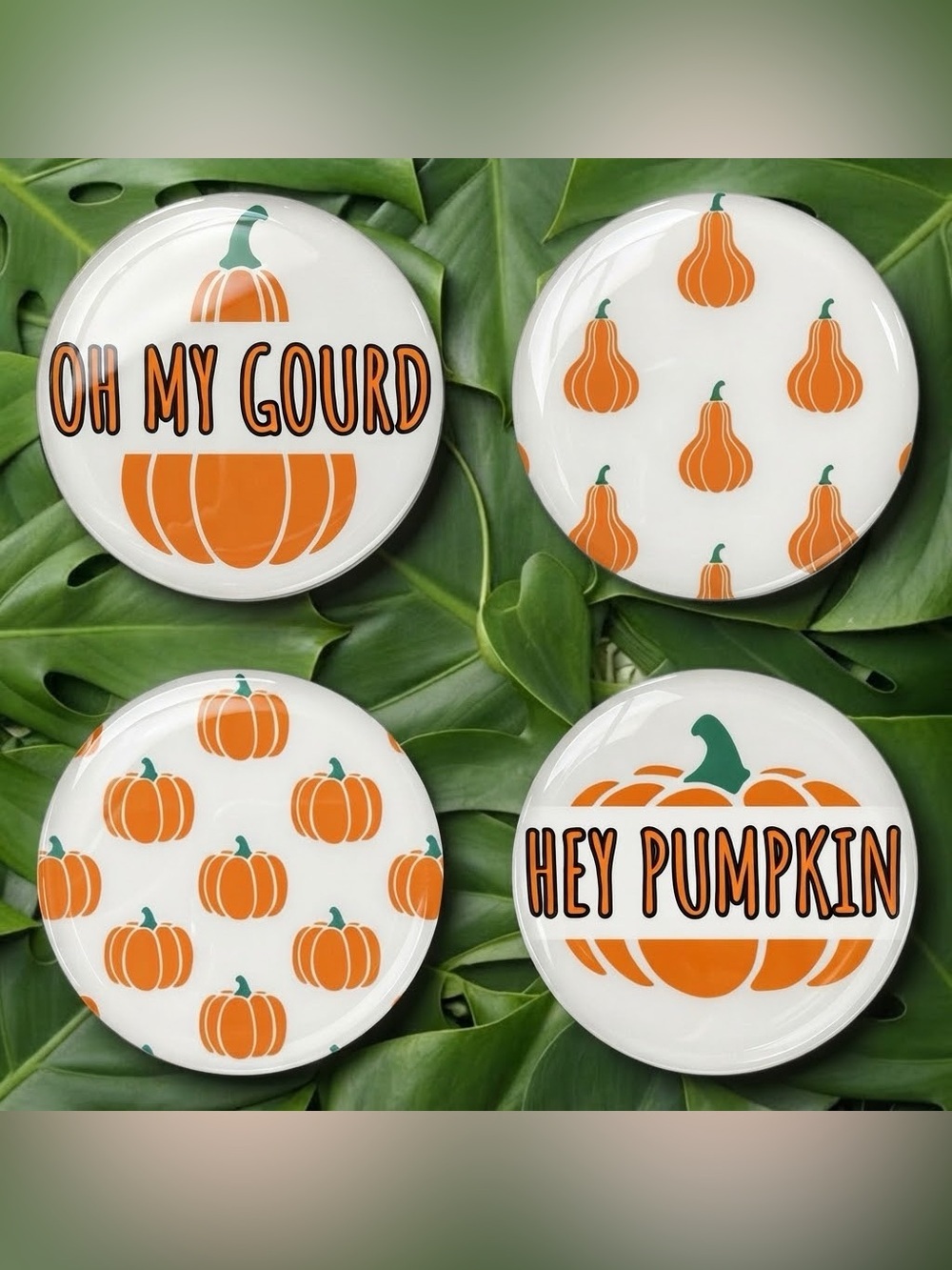 NWT Fall Pumpkin Coaster Set - White & Orange - Set of 4